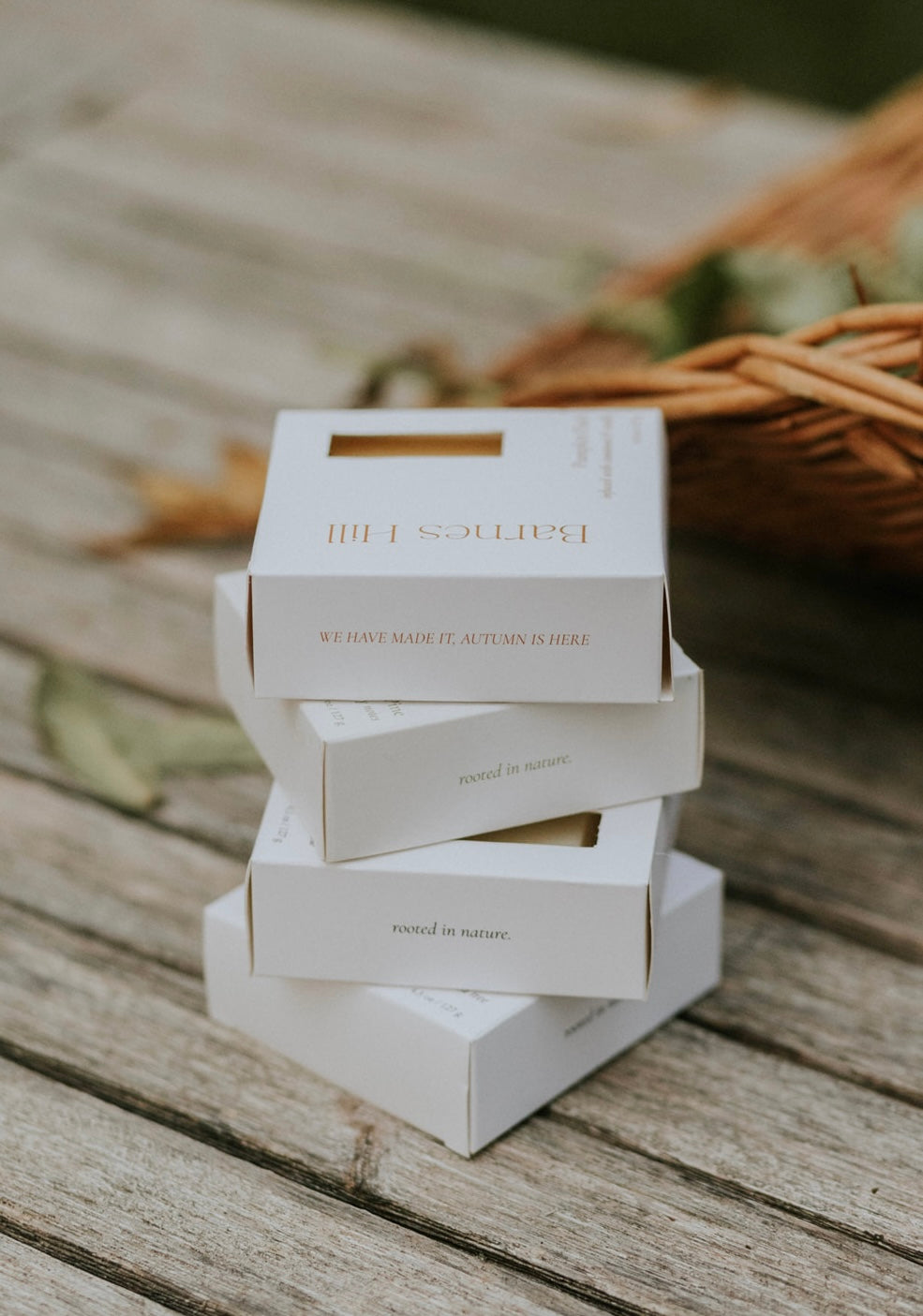Pumpkin Patch Soap Bar