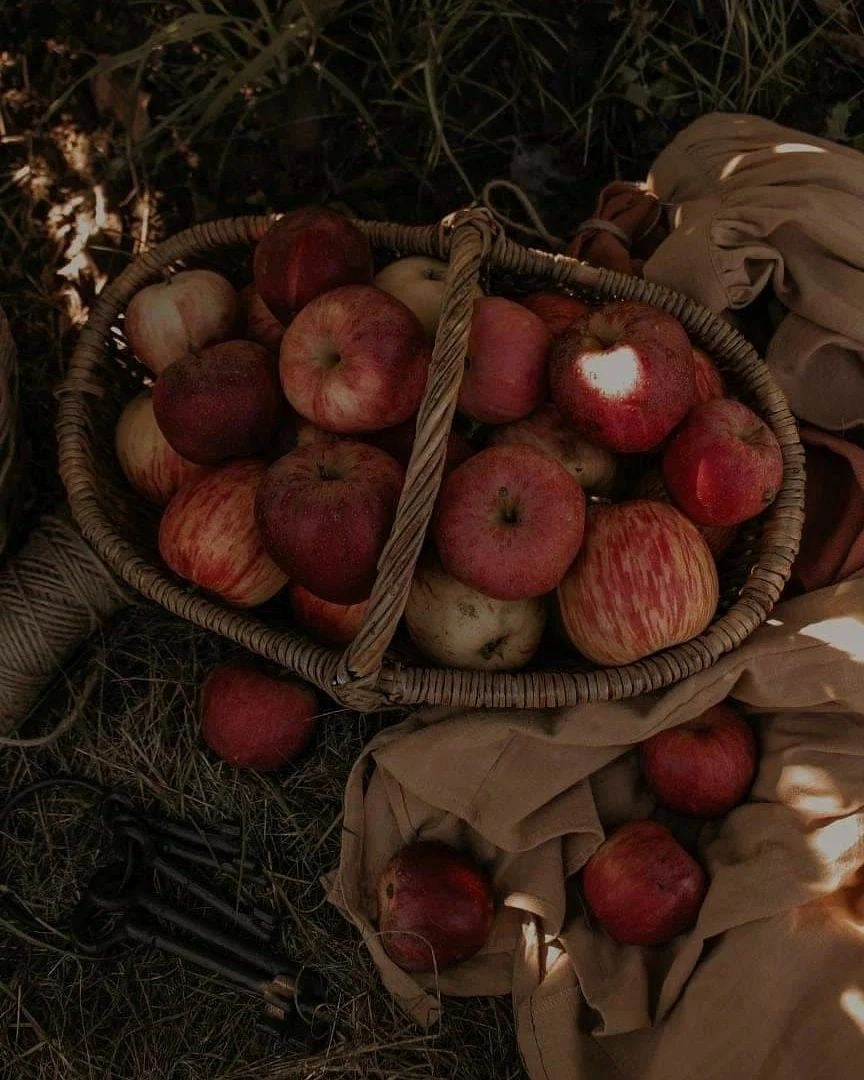 Apple Bourbon